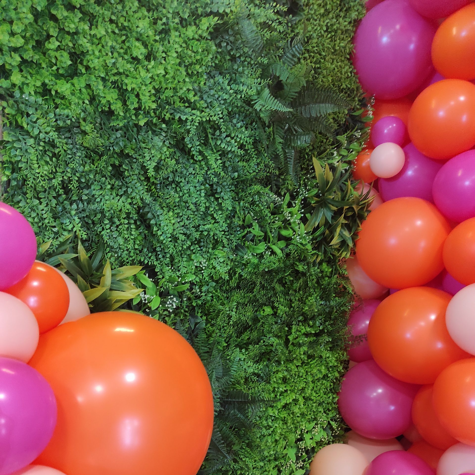 mur végétal et ballons rose orange pêche